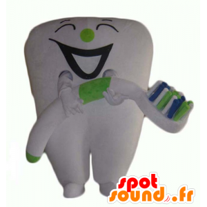 Mascotte de dent blanche géante avec une brosse à dents - MASFR24359 - Mascottes non-classées