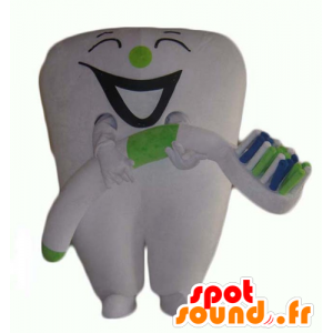 Obří bílý zub maskot s kartáčkem na zuby - MASFR24359 - Neutajované Maskoti