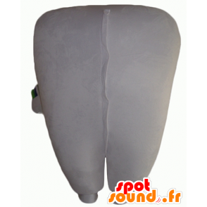 Reusachtige witte tand mascotte met een tandenborstel - MASFR24359 - Niet-ingedeelde Mascottes