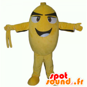 Mascot pássaro amarelo e preto, o homem oval, sorrindo - MASFR24365 - aves mascote