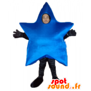 La mascota de la estrella azul, gigante, hermosa - MASFR24417 - Mascotas sin clasificar