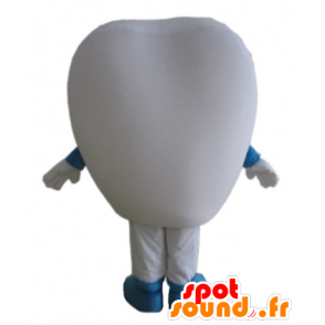 White tooth maskot, obří, s modrýma očima - MASFR24422 - Neutajované Maskoti