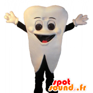 Hvit tann maskot, gigantiske og smilende - MASFR24468 - Ikke-klassifiserte Mascots