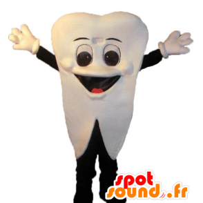 Mascote dente branca, gigante e sorrindo - MASFR24468 - Mascotes não classificados