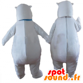 2 Eisbären mit einem blauen Schal Maskottchen - MASFR24469 - Bär Maskottchen