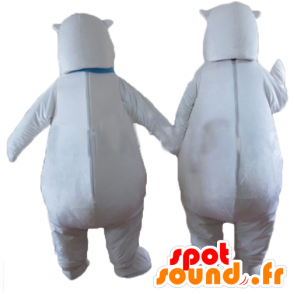 2 mascotes urso polar com um lenço azul - MASFR24469 - mascote do urso