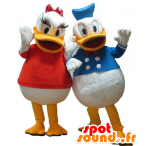 2 mascottes Daisy en Donald, Disney het beroemde echtpaar - MASFR24484 - Donald Duck Mascot