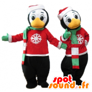 2 mascotas pingüinos en traje de invierno - MASFR24492 - Mascotas de pingüino