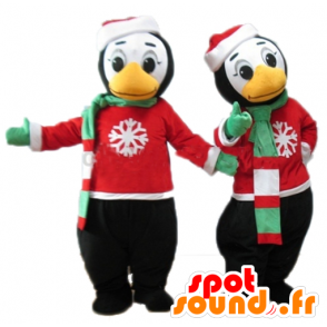 2 mascots penguins in winter outfit - MASFR24492 - Penguin mascots