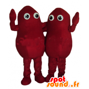 2 μασκότ χιονάνθρωποι, κόκκινο πατάτες - MASFR24497 - Μη ταξινομημένες Μασκότ