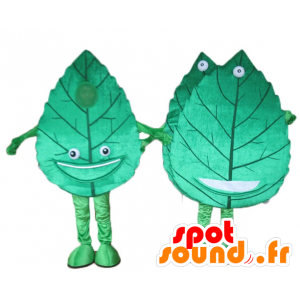 2 mascottes de feuilles vertes géantes et souriantes - MASFR24500 - Mascottes de plantes