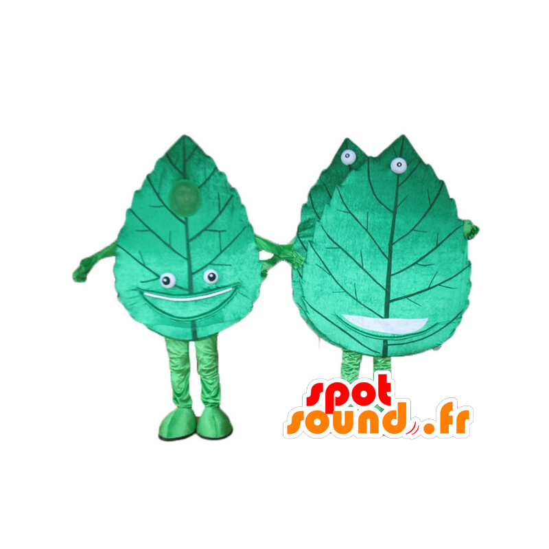 2 giant mascots and smiling green leaves - MASFR24500 - Mascots of plants