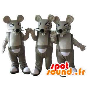 3 mascots of gray and white rats, in overalls - MASFR24509 - Mouse mascot