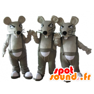 3 mascottes de rats gris et blancs, en salopette - MASFR24509 - Mascotte de souris