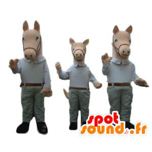 3 mascottes de chevaux, habillés d'une chemise et d'un pantalon - MASFR24510 - Mascottes Cheval