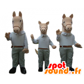 3 Maskottchen Pferde, in einem Hemd und Hose gekleidet - MASFR24510 - Maskottchen-Pferd