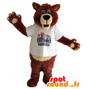 Mascotte d'ours marron et beige, de renard aux yeux bleus - MASFR25033 - Destockage