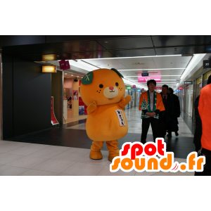 Mascotte de nounours orange, de mandarine, d'orange - MASFR25134 - Mascottes Yuru-Chara Japonaises