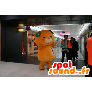 Orange bamse maskot, mandarin, orange - Spotsound maskot kostume