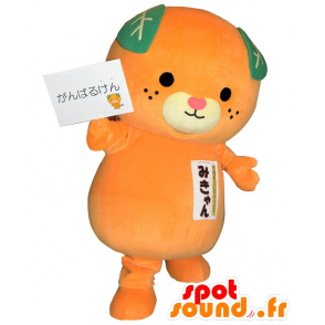 Orange bamse maskot, mandarin, orange - Spotsound maskot kostume