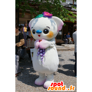 Cocora-chan maskot, vit och rosa koala, färgglad och original -