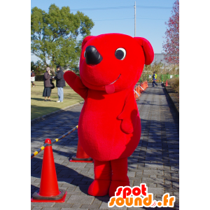 Chiba-kun mascot, red dog, giant and smiling - MASFR25170 - Yuru-Chara Japanese mascots