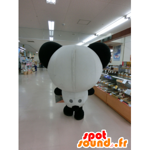 Panda mascot, teddy black and white - MASFR25489 - Yuru-Chara Japanese mascots