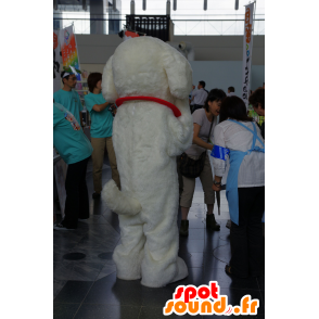 Cane mascotte bianco con un collare rosso - MASFR25537 - Yuru-Chara mascotte giapponese