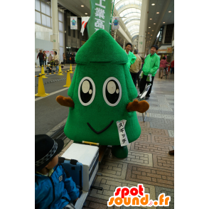 Pine green mascot, giant tree and smiling - MASFR25609 - Yuru-Chara Japanese mascots