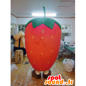 Gohtan mascot, red and green strawberry, giant and cute - MASFR25619 - Yuru-Chara Japanese mascots