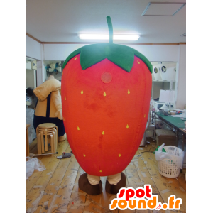 Maskotti Gohtan, punainen ja vihreä mansikka, jättiläinen ja söpö - MASFR25619 - Mascottes Yuru-Chara Japonaises