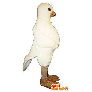 Mascote pombo branco. terno Pigeon - MASFR006808 - aves mascote