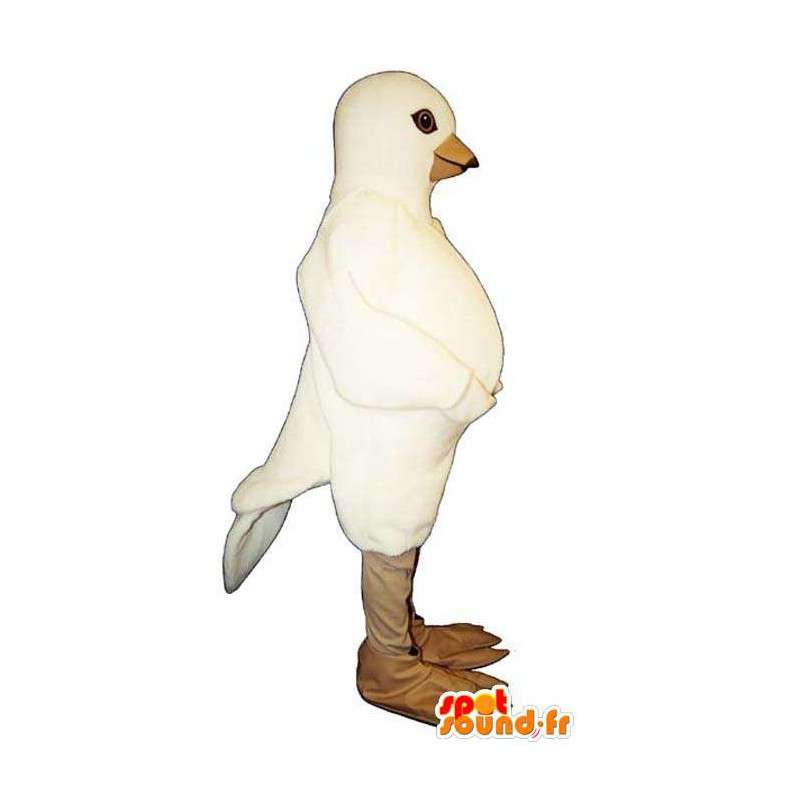 Mascote pombo branco. terno Pigeon - MASFR006808 - aves mascote
