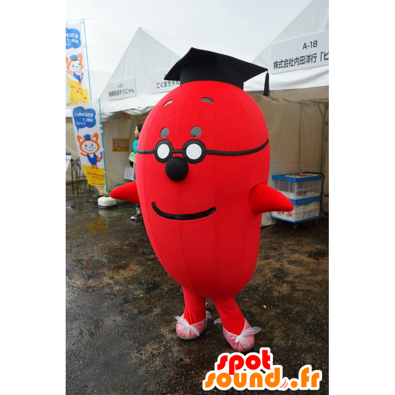 Mascotte de bonhomme, avec des lunettes et une toque de diplômé - MASFR25765 - Mascottes Yuru-Chara Japonaises