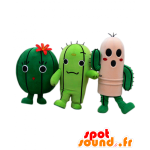 Haruyo mascots, Nichimar and Inosuke, 3 very funny cactus - MASFR25827 - Yuru-Chara Japanese mascots