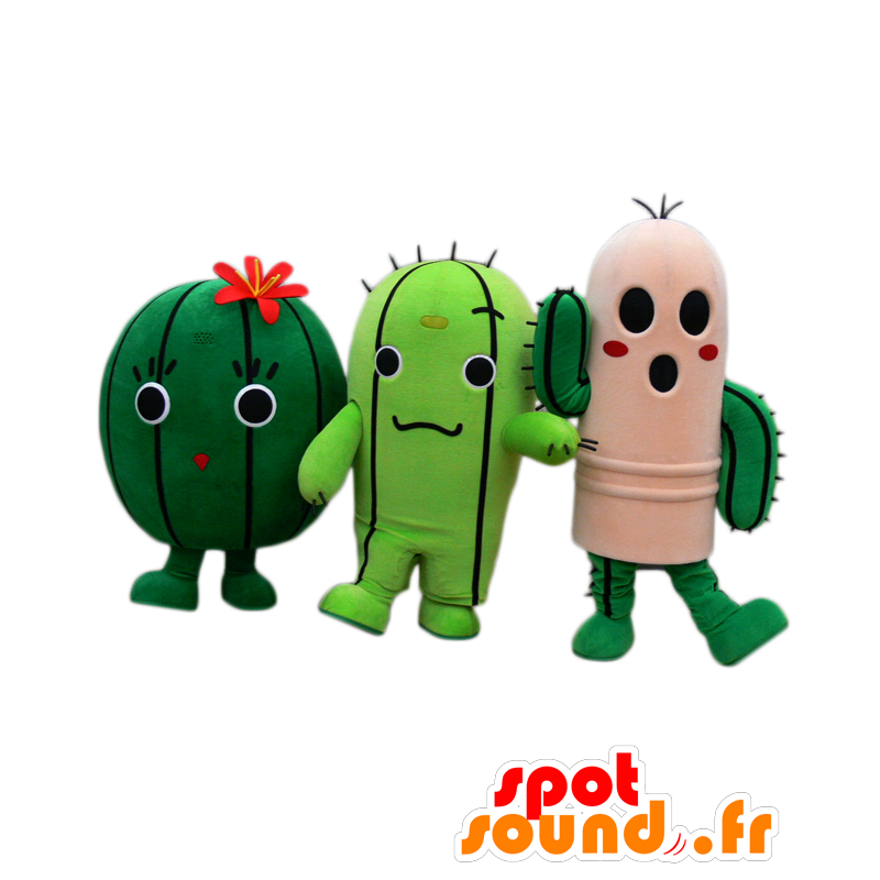 Haruyo mascots, Nichimar and Inosuke, 3 very funny cactus - MASFR25827 - Yuru-Chara Japanese mascots