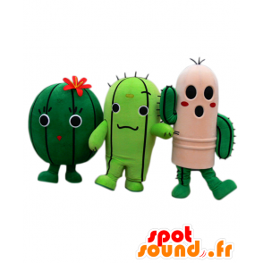 Mascotes Haruyo, Nichimar e Inosuke, 3 cactus muito engraçados - MASFR25827 - Yuru-Chara Mascotes japoneses