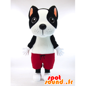Mascotte de Kiyatsuchi, chien noir et blanc avec un bermuda rouge - MASFR26034 - Mascottes Yuru-Chara Japonaises