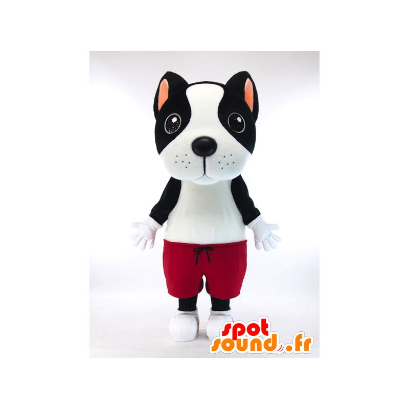 Mascotte de Kiyatsuchi, chien noir et blanc avec un bermuda rouge - MASFR26034 - Mascottes Yuru-Chara Japonaises