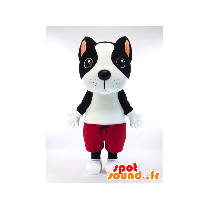 Mascot Kiyatsuchi, svart og hvit hund med røde shorts - MASFR26034 - Yuru-Chara japanske Mascots