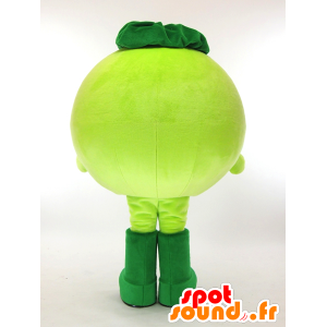 Mascota Akapakkun, pájaro verde con los ojos cerrados - MASFR26058 - Yuru-Chara mascotas japonesas