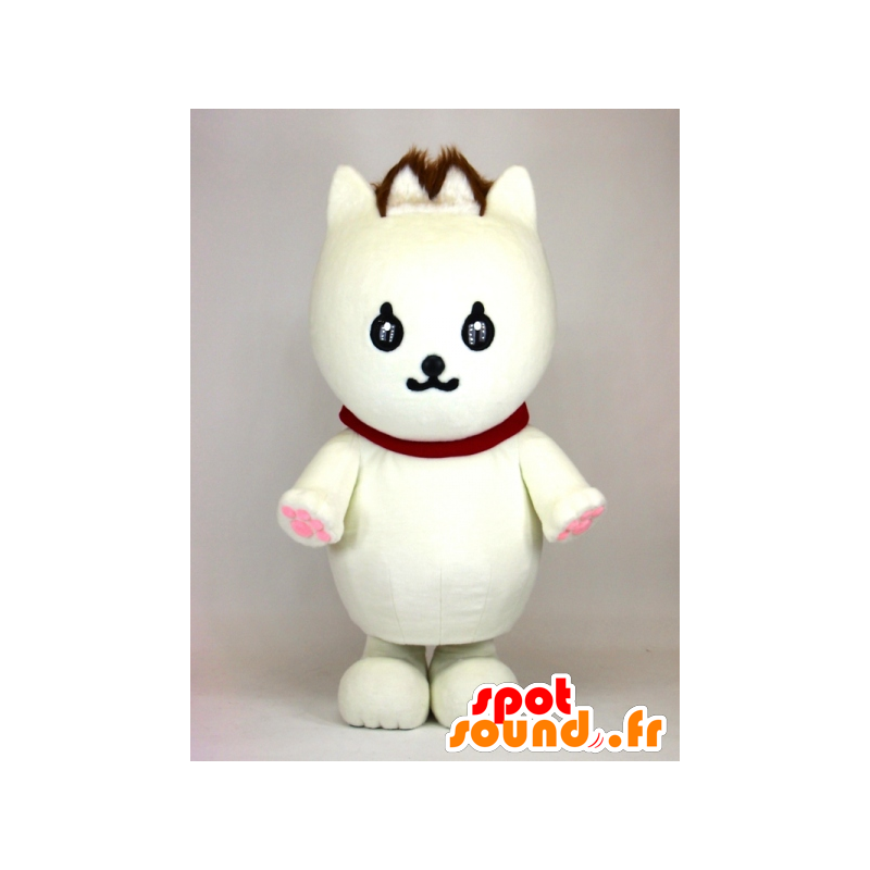 White cat mascot named Madeleine Windowsill, charming! - MASFR26149 - Yuru-Chara Japanese mascots