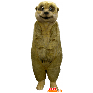 Mascotte de marmotte Meerkat, marron et d'écureuil - MASFR26206 - Mascottes Yuru-Chara Japonaises