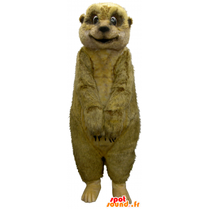 Maskot svišť Meerkat, hnědé a veverka - MASFR26206 - Yuru-Chara japonské Maskoti