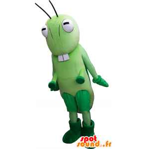 Mascot Ina, famosa cricket da Câmara Municipal de Hanyu - MASFR26261 - Yuru-Chara Mascotes japoneses