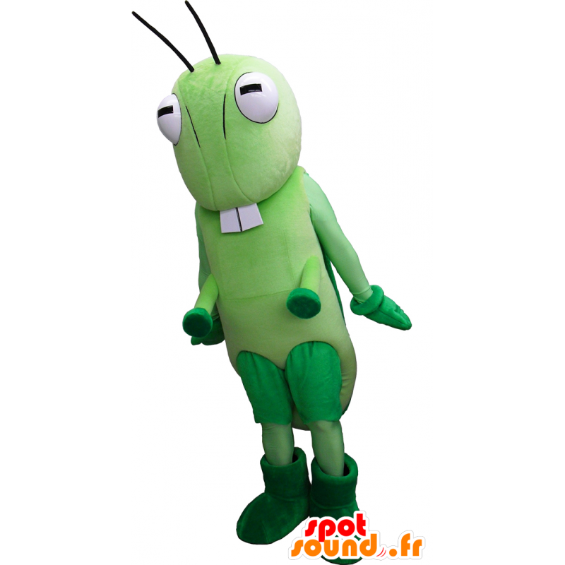Maskot Ina, slavný kriket na radnici Hanyu - MASFR26261 - Yuru-Chara japonské Maskoti Maskot Ina, slavný kriket na radnici Hanyu - MASFR26261 - Yuru-Chara japonské Maskoti