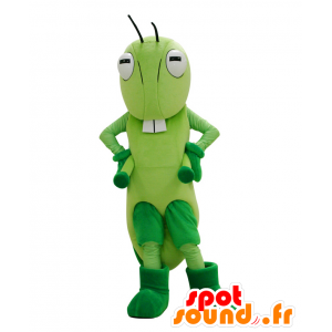 Ina-Maskottchen, das berühmte Cricket Hall of Hanyu - MASFR26261 - Yuru-Chara japanischen Maskottchen