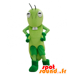 Maskot Ina, slavný kriket na radnici Hanyu - MASFR26261 - Yuru-Chara japonské Maskoti