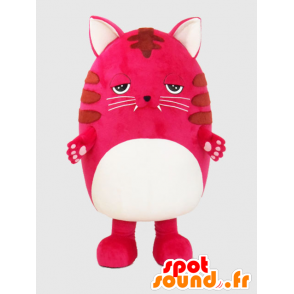 マスコットニャン、大きなピンクの猫、巨大で不機嫌そうな-MASFR26388-日本のゆるキャラのマスコット