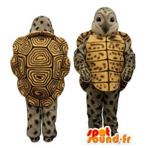 Turtle Maskottchen grau gelb und braun - MASFR006929 - Maskottchen-Schildkröte